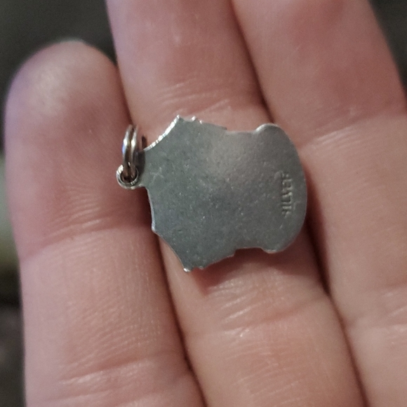 💚 curiosity charm - Picture 2 of 2